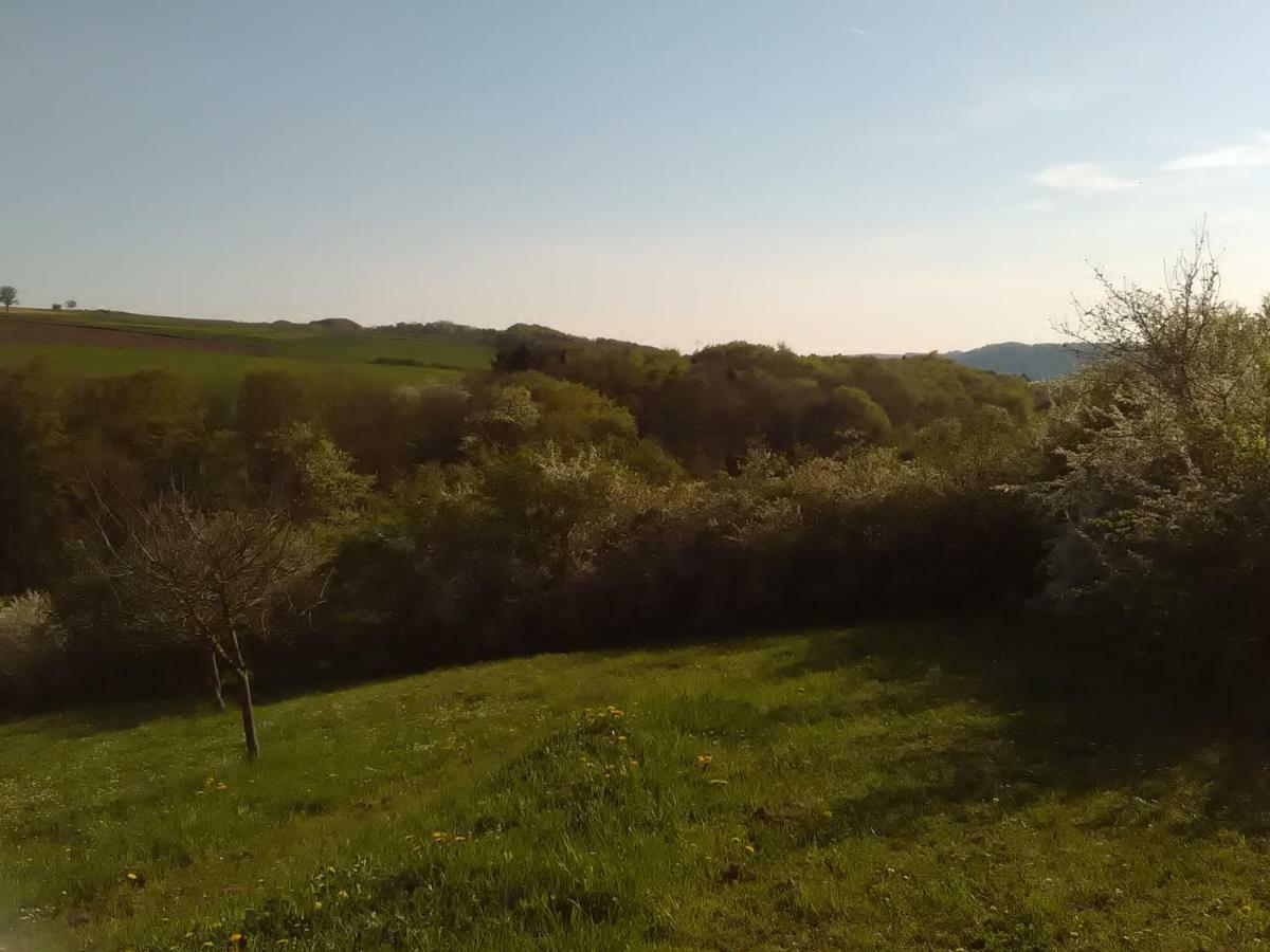 Ferienwohnung Barzen Ralingen Dış mekan fotoğraf